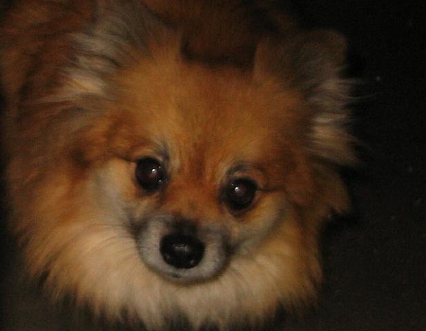 Picture 511.jpg